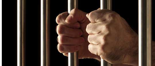 免费网络电话呼叫系统